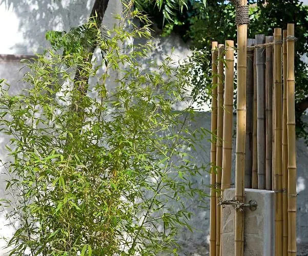 Leomar 펜션 말라가